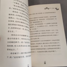 寺院里的小松鼠