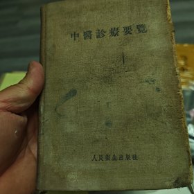 中医诊疗要览
