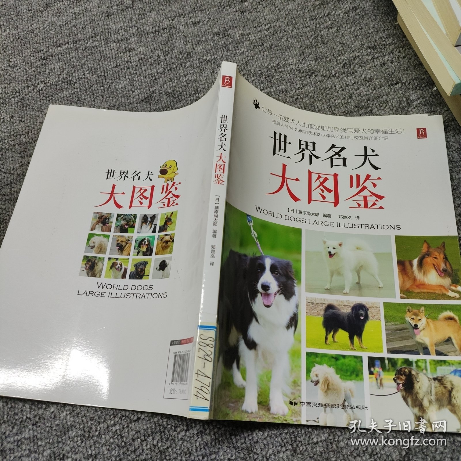 世界名犬大图鉴