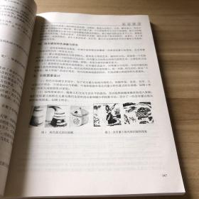 第二十四届全国青少年科技创新大赛获奖作品集