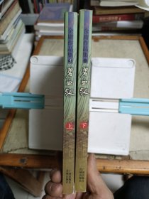 碧血剑(全二册)