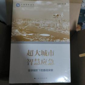超大城市智慧应急--全球视野下的路径探索(上海智库报告)