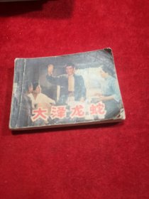 电影连环画册 大泽龙蛇 正版