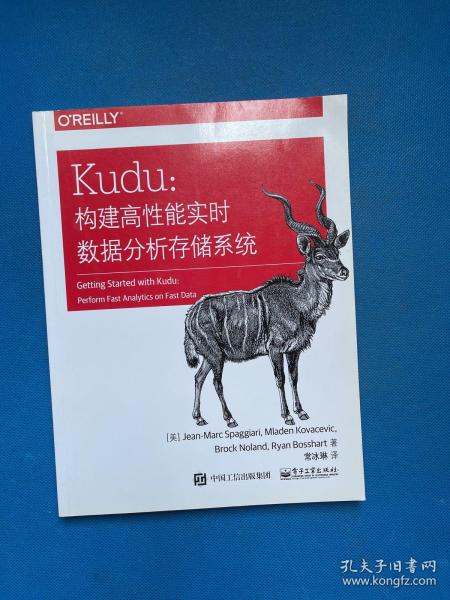 Kudu：构建高性能实时数据分析存储系统(博文视点出品)