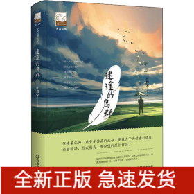 迷途的鳥群