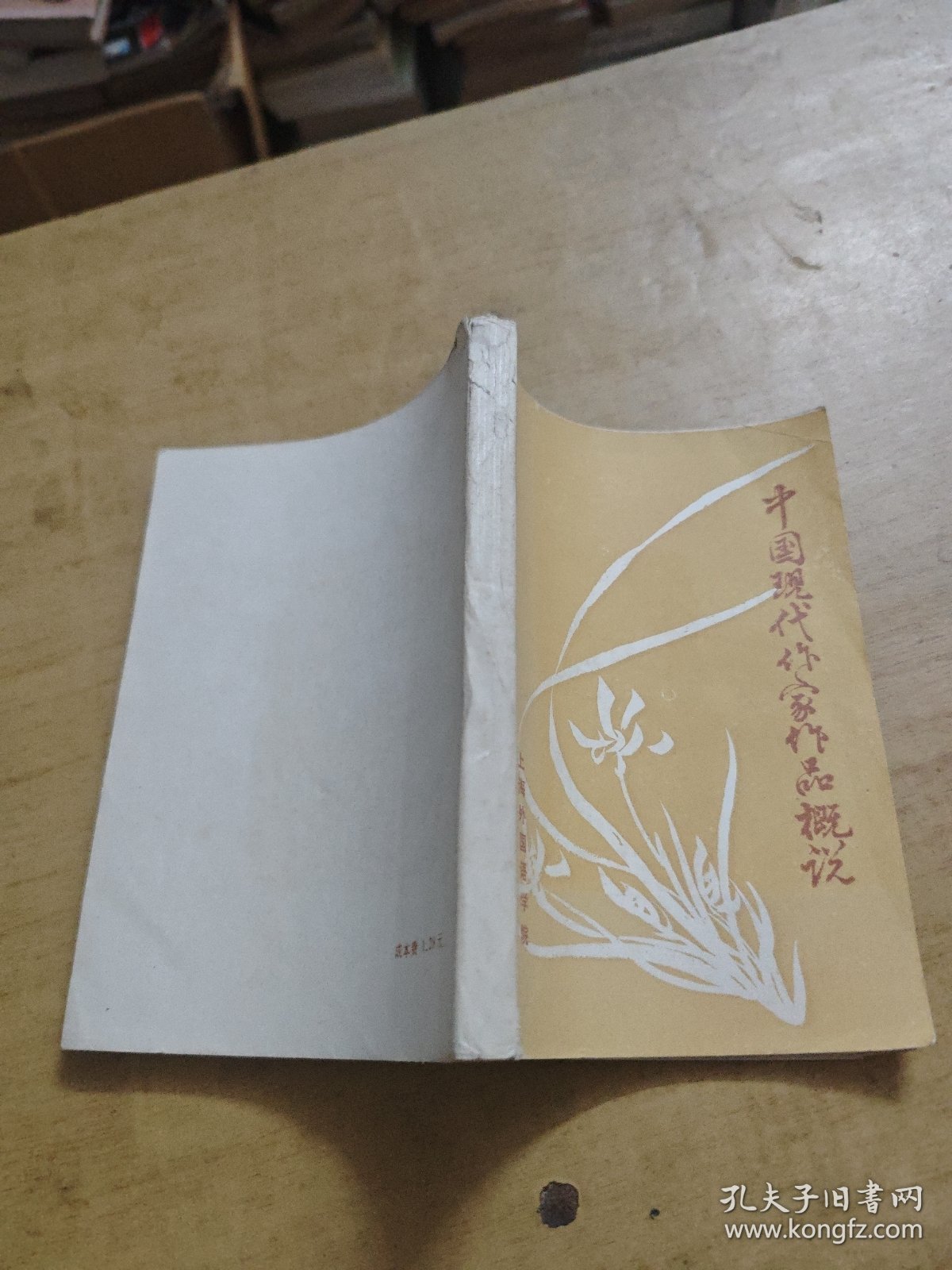 中国现代作家作品概说