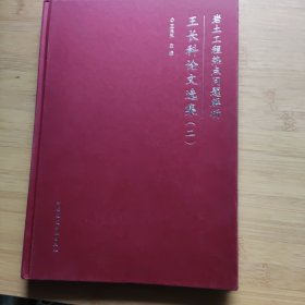 岩土工程热点问题解析 王长科论文集（二）