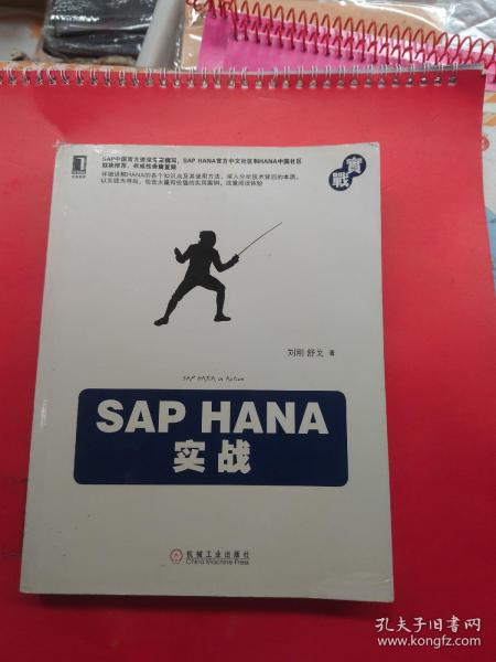 SAP HANA实战