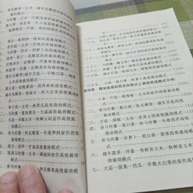 露地蔬菜高效栽培模式