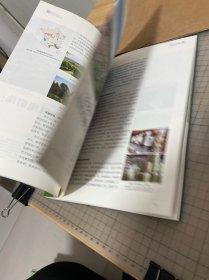 田园乡村·国际乡村发展80例：乡村振兴的多元路径（套装上册）