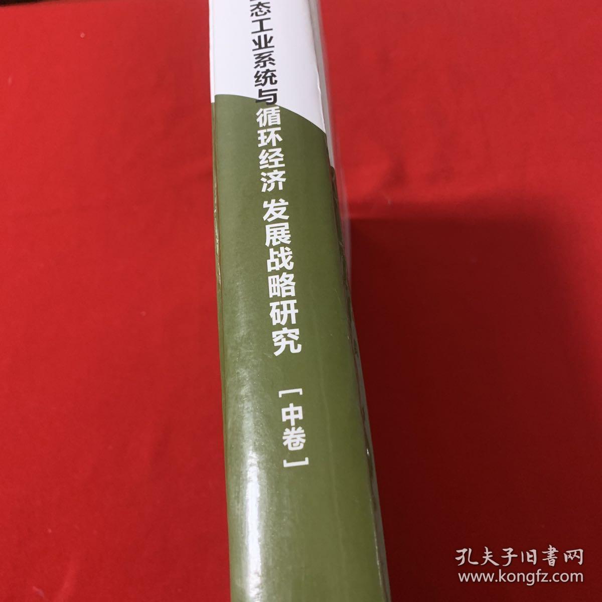 中国生态工业系统与循环经济发展战略研究 （中卷）