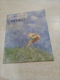 宝宝去哪儿了?（平装，有瑕疵）