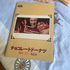 电影场刊 爱若此时 Any Day Now