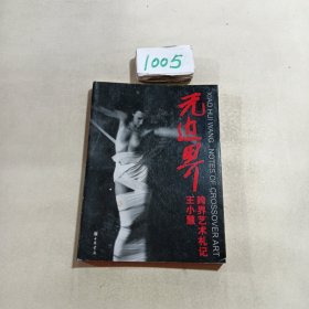 无边界：王小慧跨界艺术札记