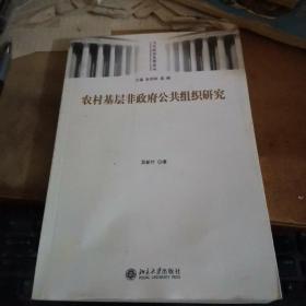 农村基层非政府公共组织研究