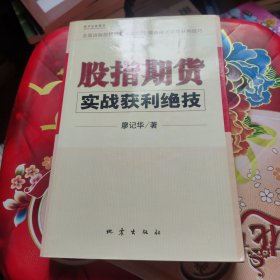 股指期货实战获利绝技