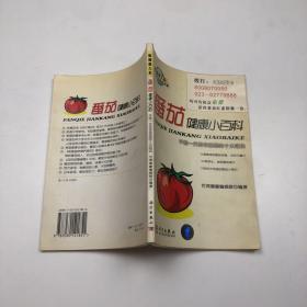 番茄健康小百科：不能一天没有番茄的十大理由