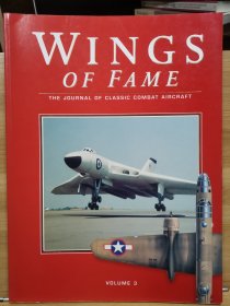 荣耀之翼：经典战斗机杂志 Wings of Fame, The Journal of Classic Combat Aircraft - Vol. 3