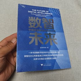 数智未来：中国企业数字化转型之路