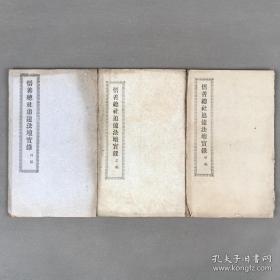 【仅见】悟善总社追远法坛实录 甲乙丙三编 三册