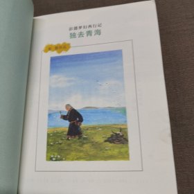 独去青海