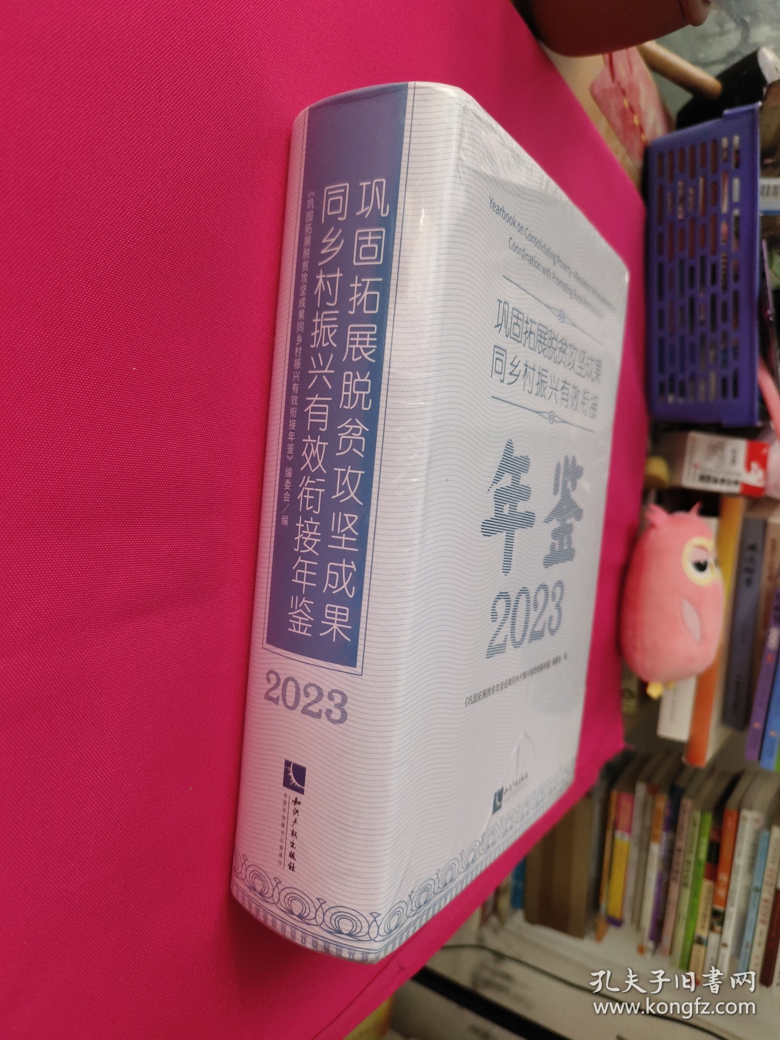 巩固拓展脱贫攻坚成果同乡村振兴有效衔接年鉴（2023）塑封