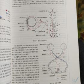 神经病学(第7版) 贾建平/本科临床/十二五普通高等教育本科国家级规划教材(内页新，无笔迹划线)