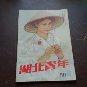 【期刊杂志】湖北青年 1988.8