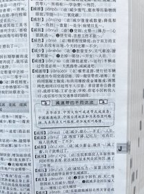 现代汉语学习词典