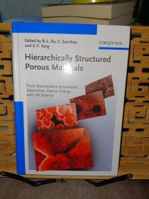 Hierarchically Structured Porous Materials（分层结构多孔材料）