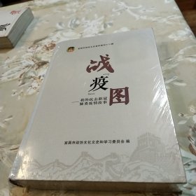 战疫图——我的抗击新冠肺炎疫情故事