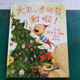 大卫，圣诞节到啦！：大卫,圣诞节到啦!