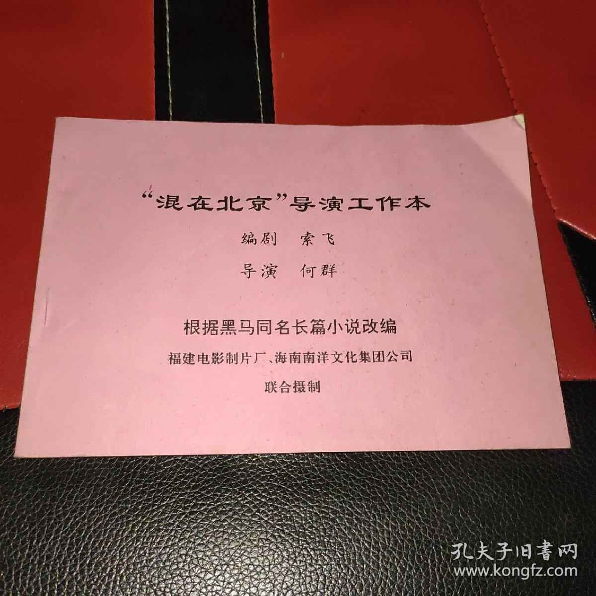 混在北京 导演工作本