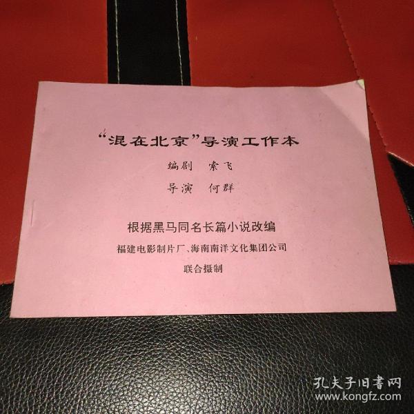混在北京 导演工作本