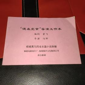 混在北京 导演工作本