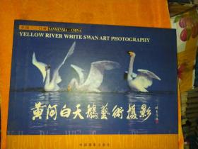 黄河白天鹅艺术摄影