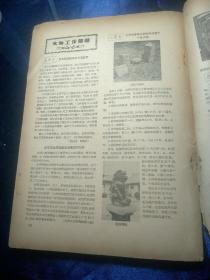 文物参考资料 1958年第八期