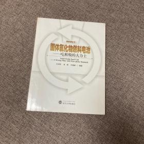 新能源丛书·固体氧化物燃料电池：吃粗粮的大力士