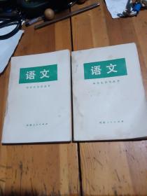 中学生自学丛书语文上下册