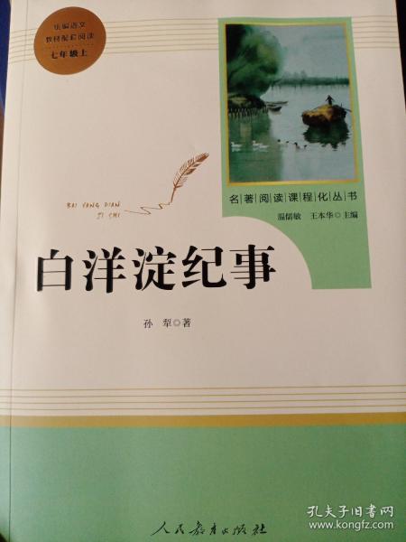 白洋淀纪事 名著阅读课程化丛书（统编语文教材配套阅读）七年级上