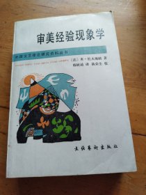 外国文艺理论研究资料丛书：审美经验现象学