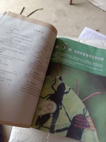普通高中课程标准实验教科书 生物 1 必修：分子与细胞，高中生物必修1，2004年初审通过，内页干净，