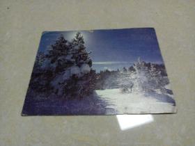 雪景树明信片1张