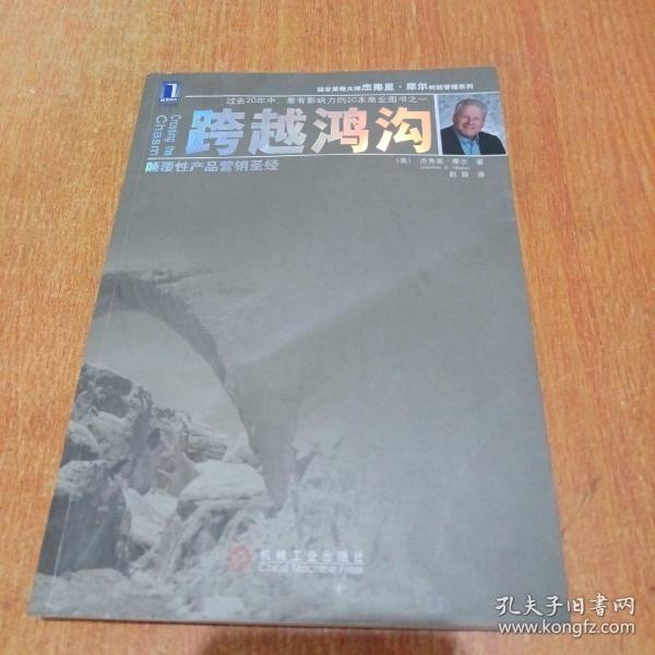 跨越鸿沟：颠覆性产品营销圣经