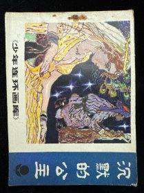 沉默的公主