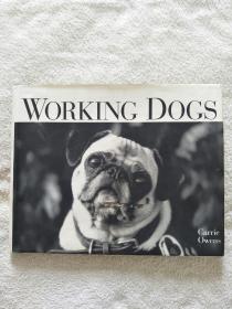 WORKING DOGS （孔网孤本）