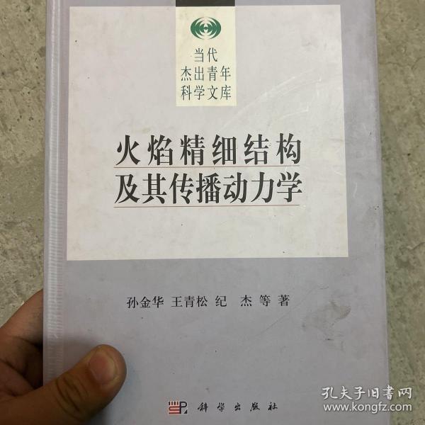 火焰精细结构及其传播动力学