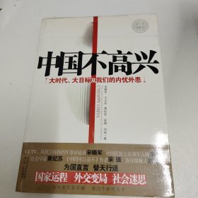 中国不高兴：大时代大目标及我们的内忧外患