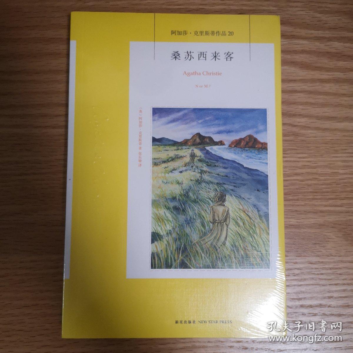 桑苏西来客：阿加莎·克里斯蒂侦探作品集20