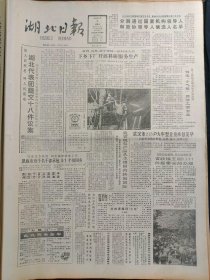 湖北日报1988年4月8日：【罗田县实行优惠政策发展桑蚕生产；协和医院创造胃幽门弯曲菌快速诊断法；】~（版面齐全，放心购买）。